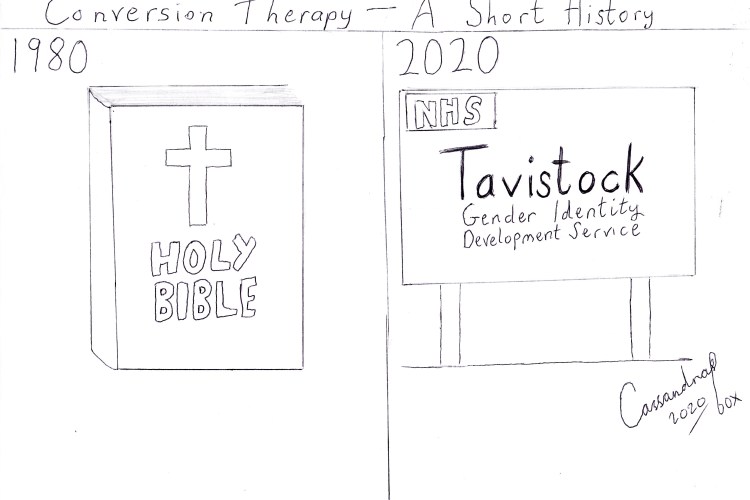 Cartoon reading 'Conversion Therapy: A Short History'. On the left, the year 1980 with a Bible, on the right, the year 2020 with a sigh stating 'NHS Tavistock Gender Identity Development Service'
