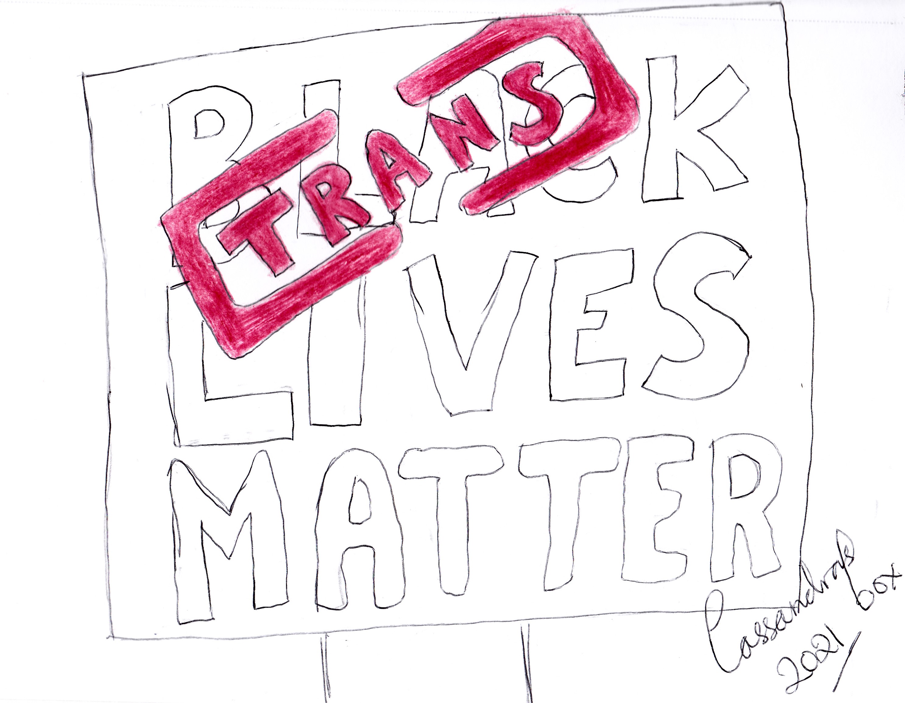 Cartoon with sign reading "Black Lives Matter' The word black is stamped over with Trans in red text.