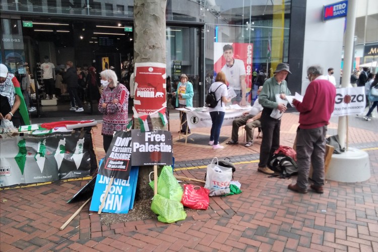 Collection of Palestine signs propped against a tree: Boycott Puma, Free Palestine