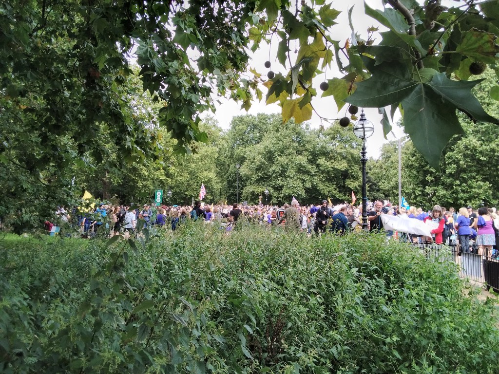 Protesters in Hyde Park, London. The image is framed by foliage.