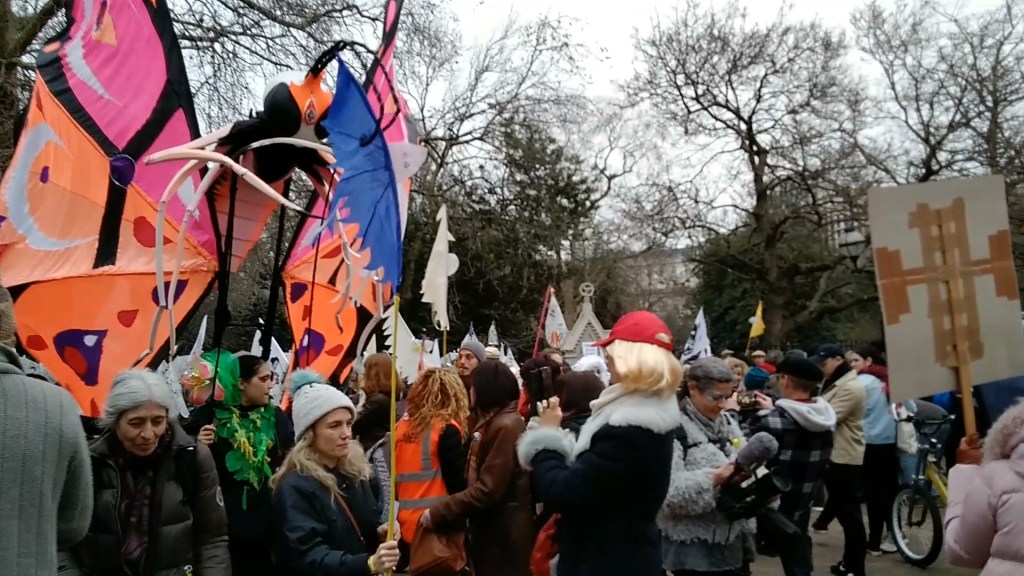 Woman holding insect with large complex wings above her head