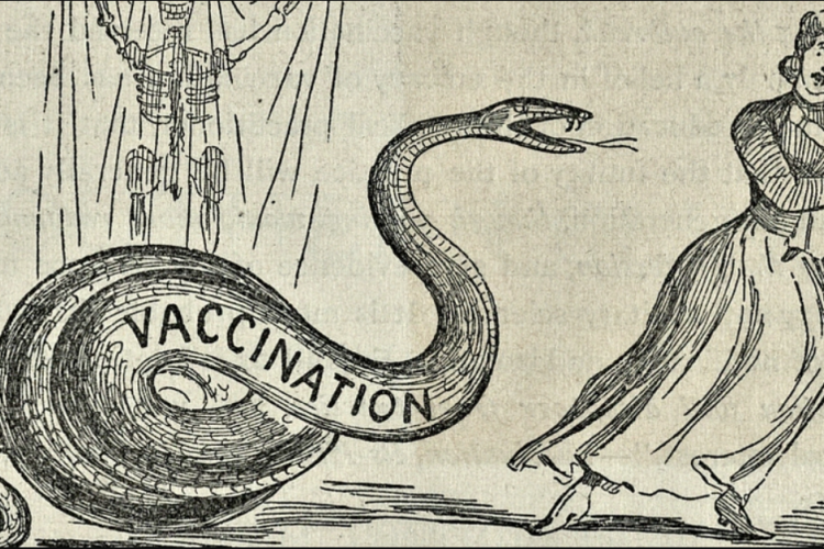 A 19th century cartoon depicting Vaccination as a Snake attacking a mother and child. The snake has a skeleton behind him.